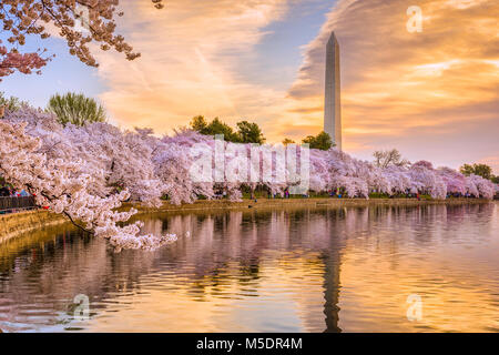 Washington DC, Stati Uniti d'America nella stagione primaverile. Foto Stock