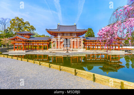 Byodo-in tempio, Uji, Kyoto, Giappone nella stagione primaverile. Foto Stock