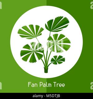 Ventilatore Palm tree. Illustrazione di esotica pianta tropicale Illustrazione Vettoriale