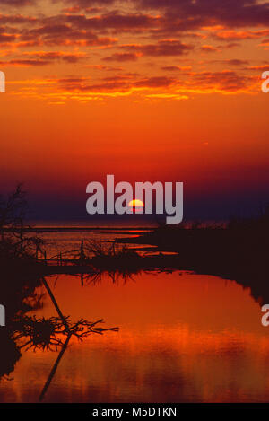 Etang de Vaccarès, Stagno, lago, sunrise, Camargue, Bouches-du-Rhône, Provenza, Francia Foto Stock