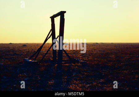 Crau, disegnare bene, deserto di pietra, riserva naturale, riserva naturelle des Coussouls de Crau, St-Martin-De-Crau, Bouches-du-Rhône, Provenza, Fran Foto Stock