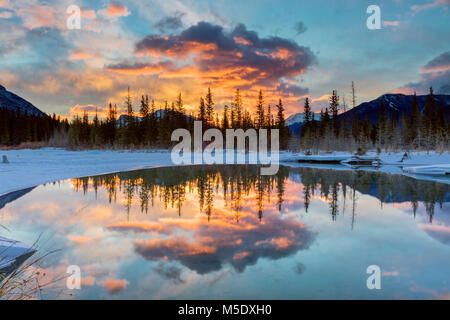Fiume Bow sunrise a Canmore near Banff, Alberta, Canada Foto Stock