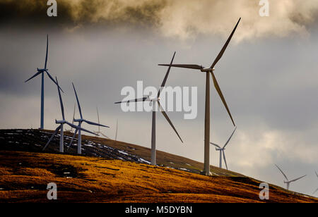 Le turbine eoliche sul fiume Clyde Wind Farm - un 350 megawatt (MW) wind farm vicino a Abington in South Lanarkshire, Scozia. Foto Stock