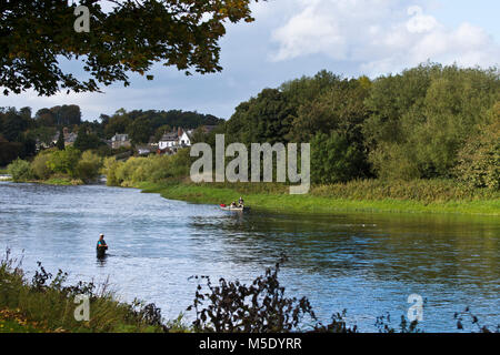 Per la pesca del salmone, il pool di giunzione, dove il fiume Teviot incontra il fiume Tweed a Kelso in Scottish Borders. Foto Stock