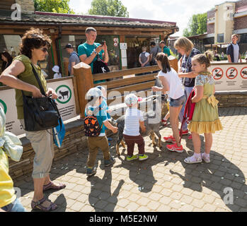 SAINT PETERSBURG, Russia - 26 luglio 2017: Bambini guardare le capre sulla zona di contatto nel giardino zoologico Foto Stock