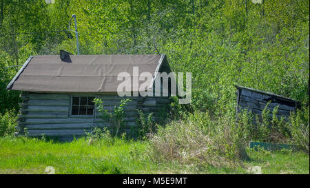 Rustico log cabin selvaggio dell'Alaska Foto Stock