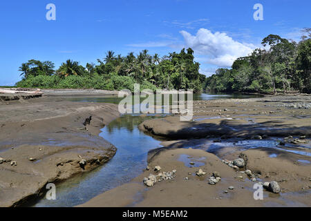 La Sirena fiume come esso incontra l'Oceano Pacifico nella foresta pluviale giungle della penisola di Osa, Costa Rica. Foto Stock