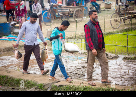 Una famiglia proprietaria è tornare a casa dopo aver acquistato un pesce dalla fiera (Poradah Mela) per la famiglia. Foto Stock