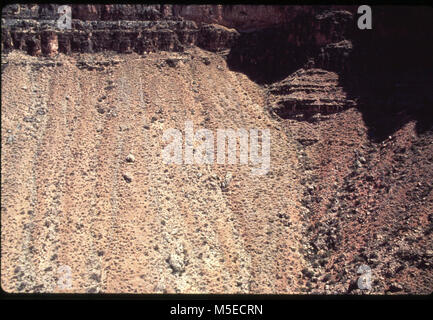Grand CanyonAerial di burro danno vista aerea del canyon interno con burro causato danni della vegetazione su un astragalo di pendenza. Percorsi multipli 1975. Foto Stock