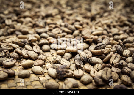 Luwak caffè in grani steso a secco e mostrando i segni del Civet Cat materia fecale che questo più costosa della varietà di caffè è rinomata per! Foto Stock