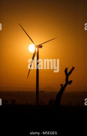 Sunrise nel deserto di Mojave, Tehachapi Pass, California Foto Stock