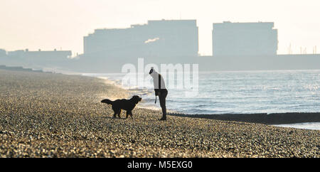 Brighton Regno Unito 23 Febbraio 2018 - Un dog walker gode del clima soleggiato ma freddo sulla spiaggia di Brighton questa mattina come temperature di congelamento e di neve sono previsioni meteo per spazzare in Gran Bretagna per i prossimi giorni di credito: Simon Dack/Alamy Live News Foto Stock