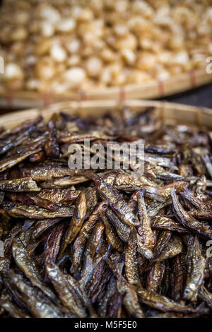 Acciughe essiccate e per la vendita sul mercato in stallo in Indonesia. Le acciughe sono un po' come un cibo di graffa in Asia. Frutti di mare nutrienti acidi grassi omega-3 Foto Stock