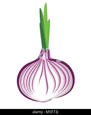 Fresco di cipolla rossa con i germogli di verdura dal giardino cibo organico illustrazione vettoriale isolati su sfondo bianco pagina del sito web e mobile app desi Illustrazione Vettoriale