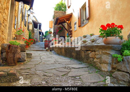 Bella e antica strada con fiori in Hum, la più piccola città del mondo, Istria, Croazia Foto Stock