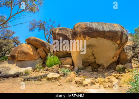 Hippo's Yawn è un hippo-roccia sagomata vicino a Wave Rock in Hyden ed è parte della Wave Rock a piedi nel circuito Hyden Wildlife Park. Hyden in Australian Outback, Western Australia. Foto Stock