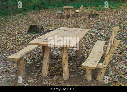 Area Picnic con panche di legno e tavolo nel mezzo della foresta Foto Stock
