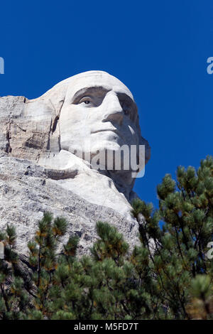 SD00011-00...Dakota del Sud - Presedent George Washington scavata in una montagna a Mount Rushmore National Memorial. Foto Stock