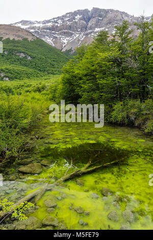 Rio del Vuetas; vicino a Reserva Provinciale del Lago del Desierto; Patagonia Argentina; Foto Stock