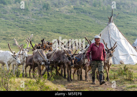 Tsaatan Vita, renne Herder, Tsaaganuur, Mongolia Foto Stock