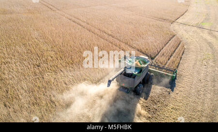 Vista aerea della mietitrebbia a guidare attraverso le righe di fagioli di soia e sollevando la polvere, Maryland Foto Stock