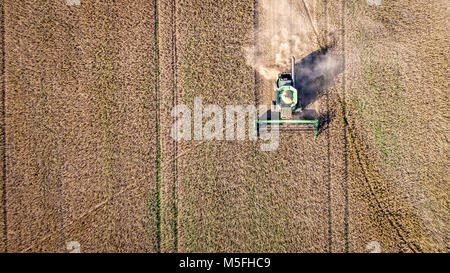 Vista aerea guardare direttamente verso il basso in corrispondenza di una mietitrebbia a guidare attraverso le righe di fagioli di soia e sollevando la polvere, Maryland Foto Stock