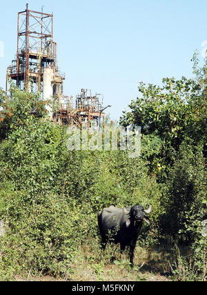 Fabbrica di prodotti chimici, Bhopal, Madhya Pradesh, India, Asia Foto Stock