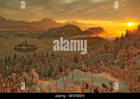 Sunrise inverno al lago di Bled con la neve sugli alberi Foto Stock