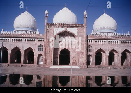 Vista del Taj Ul Masjid a Bhopal, Madhya Pradesh, India Foto Stock