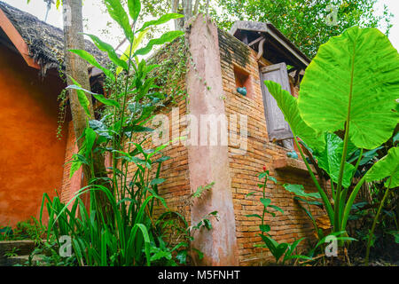 Grande verde fogliame tropicale accanto a casa rustica. Foto Stock