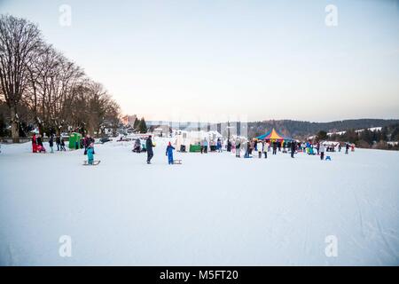 La bellezza del paesaggio invernale Harz in Germania Foto Stock