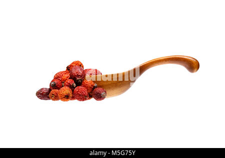 Bacche di Rosa canina essiccata nel cucchiaio di legno, isolato su sfondo bianco. Foto Stock