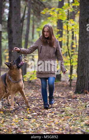 Giovane donna carina giocando con il pastore tedesco cane all'aperto nella foresta di autunno Foto Stock
