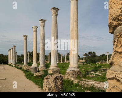 Righe colonne doriche di palestra in scavato antica città romana di Salamina Famagusta Repubblica Turca di Cipro del Nord con colonnato Palaestra Foto Stock