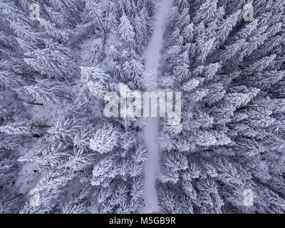 Vista aerea del coperto di neve e gli alberi coperti di neve strada nel deserto Foto Stock