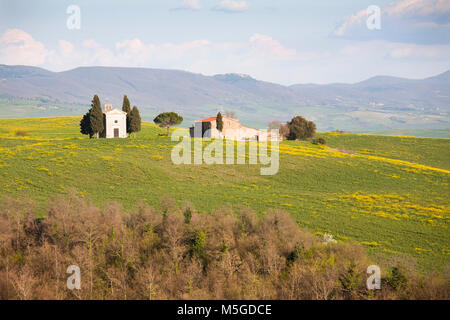 Paesaggio della zona di Pienza, Toscana, Italia, Europa Foto Stock