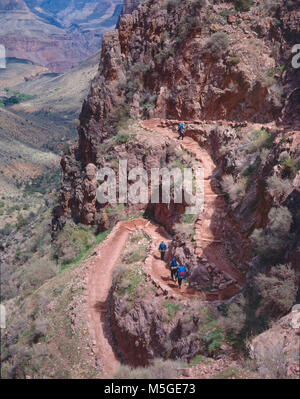 Il Bright Angel Trail - Grand Canyon - la scala di Giacobbe gli escursionisti scendono ripidi tornanti ATTRAVERSO IL REDWALL CALCARE SUL BRIGHT ANGEL TRAIL - sopra i giardini indiano. Jacobs scala sul Bright Angel Trail, il Parco Nazionale del Grand Canyon. Al di sotto di Three-Mile Resthouse il sentiero scende 600 piedi ( 180 m ) attraverso il Redwall calcare sulla strada per il Giardino indiano. Il viaggio di andata e ritorno per Indain Garden è 9.2 miglia ( 14,8 km ) e dura tra 6 e 10 ore. Indian Gardens è 3,060 piedi ( 933 m ) al di sotto del bordo sud. Foto Stock