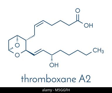 Il trombossano A2 (TXA2 molecola). Formula di scheletro. Illustrazione Vettoriale
