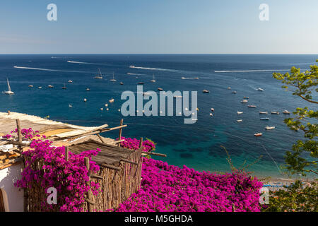 Positano incorniciato da rosa bouganville e barche in background. Colorato Positano, la perla della Costiera Amalfitana, con le sue case multicolori e Foto Stock