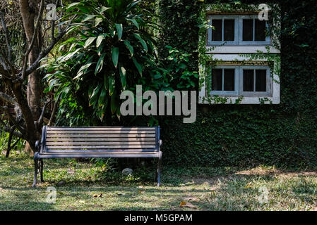 Panca di legno vicino casa a copertura messicano con daisy. tridax procumbens o impianto coatbuttons Foto Stock