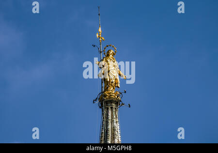 Statua dorata della Vergine Maria ha chiamato Madonnina,posto in cima al duomo è il simbolo di Milano, Italia Foto Stock