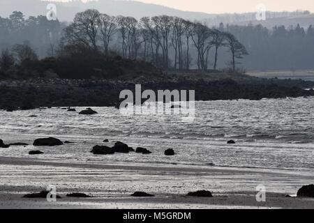 Alberi contro un paesaggio nebuloso in Scozia Foto Stock
