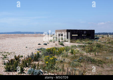 Guerra Mondiale 2 VICKERS MITRAGLIATRICE scatola di pillole MMG. Costruito nel 1942. Porto di segale RISERVA NATURALE EAST SUSSEX REGNO UNITO Foto Stock