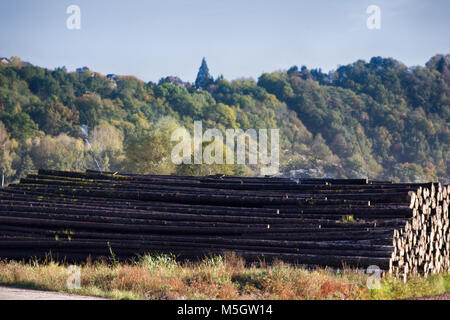 Pila di acqua di registri (stack di registri, log deck). Irrigazione di spruzzatore come metodo di conservazione del legno - creazione di microclima e ambiente privo di ossigeno per f Foto Stock