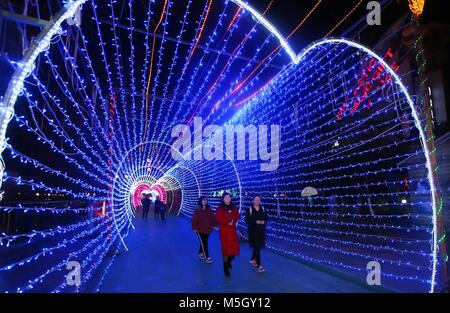 Nantong, cinese della provincia di Jiangsu. Il 23 febbraio, 2018. La gente visita una lanterna fair di Nantong, est cinese della provincia di Jiangsu, Feb 23, 2018. Una lanterna fiera era tenuto qui per celebrare il nuovo anno lunare cinese. Credito: Xu Peiqin/Xinhua/Alamy Live News Foto Stock