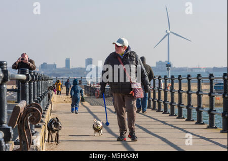 New Brighton, Wirral, Regno Unito. Il 24 febbraio 2018. Anche se molto luminosa e soleggiata per iniziare la giornata, le temperature sono a una temperatura vicina al punto di congelamento. Dog walkers brave le basse temperature. Credito: Paolo Warburton/Alamy Live News Foto Stock