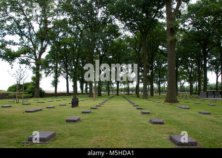 Righe di lapidi af Langemark il cimitero di guerra tedesco Foto Stock