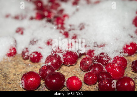 Congelati a freddo a bacca rossa mirtilli rossi sul tavolo Foto Stock