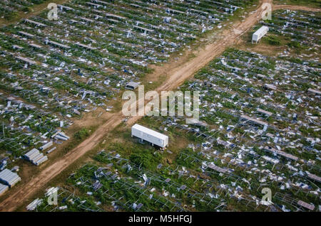 San Juan, Puerto Rico, 25 gennaio, 2018-membri dell'U.S. Casa dei Rappresentanti, Rosa DeLauro dal Connecticut e grazia Meng da New York ha visitato la FEMA campo comune ufficio per un uragano risposta e ripristino briefing. Dopo il briefing hanno preso un tour in elicottero di danneggiato il vento solare e le aziende agricole nei comuni di Naguabo Humacao e. FEMA/K.C. Wilsey Foto Stock