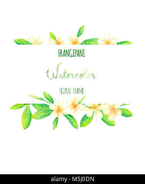 Il Frangipani o fiori di Tiarè telaio rettangolare pittura ad acquerello Foto Stock